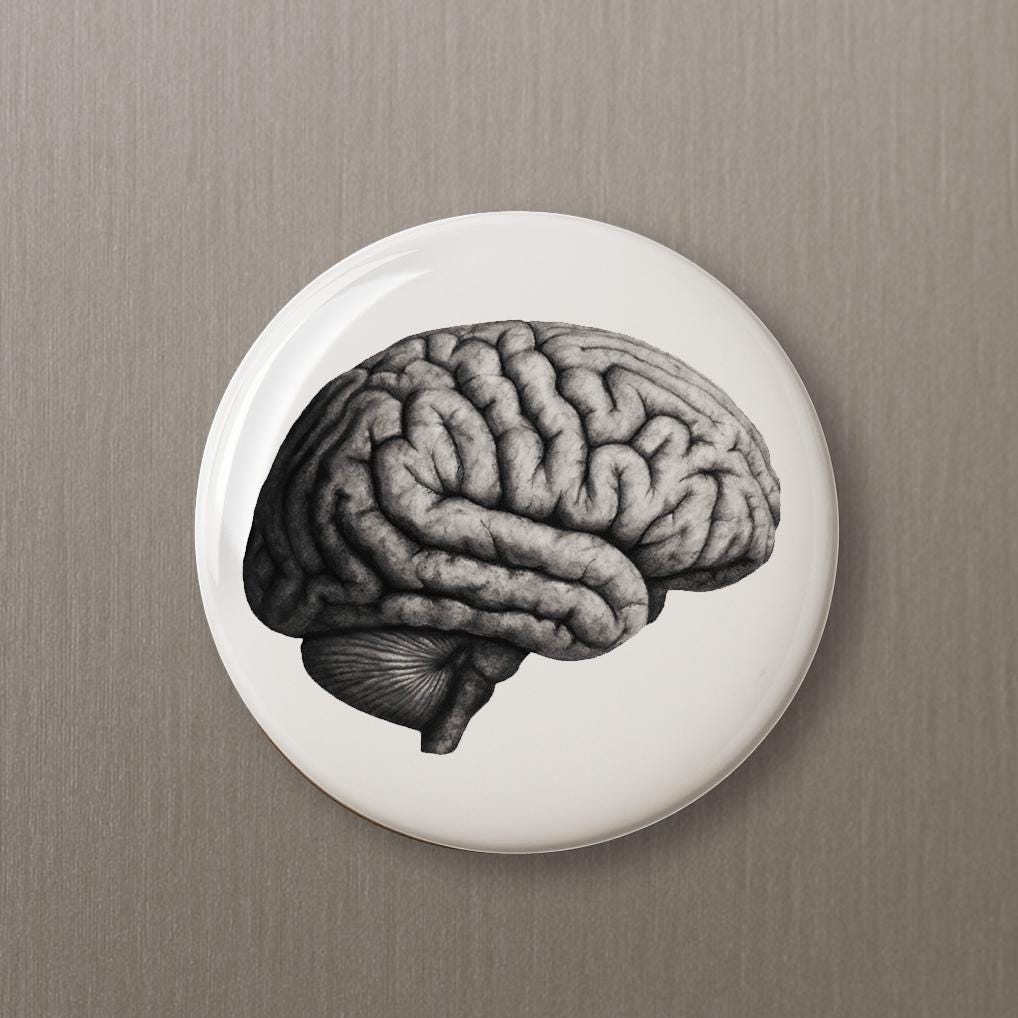 Hand Drawn Human Brain button pin magnet keychain science loving accessories