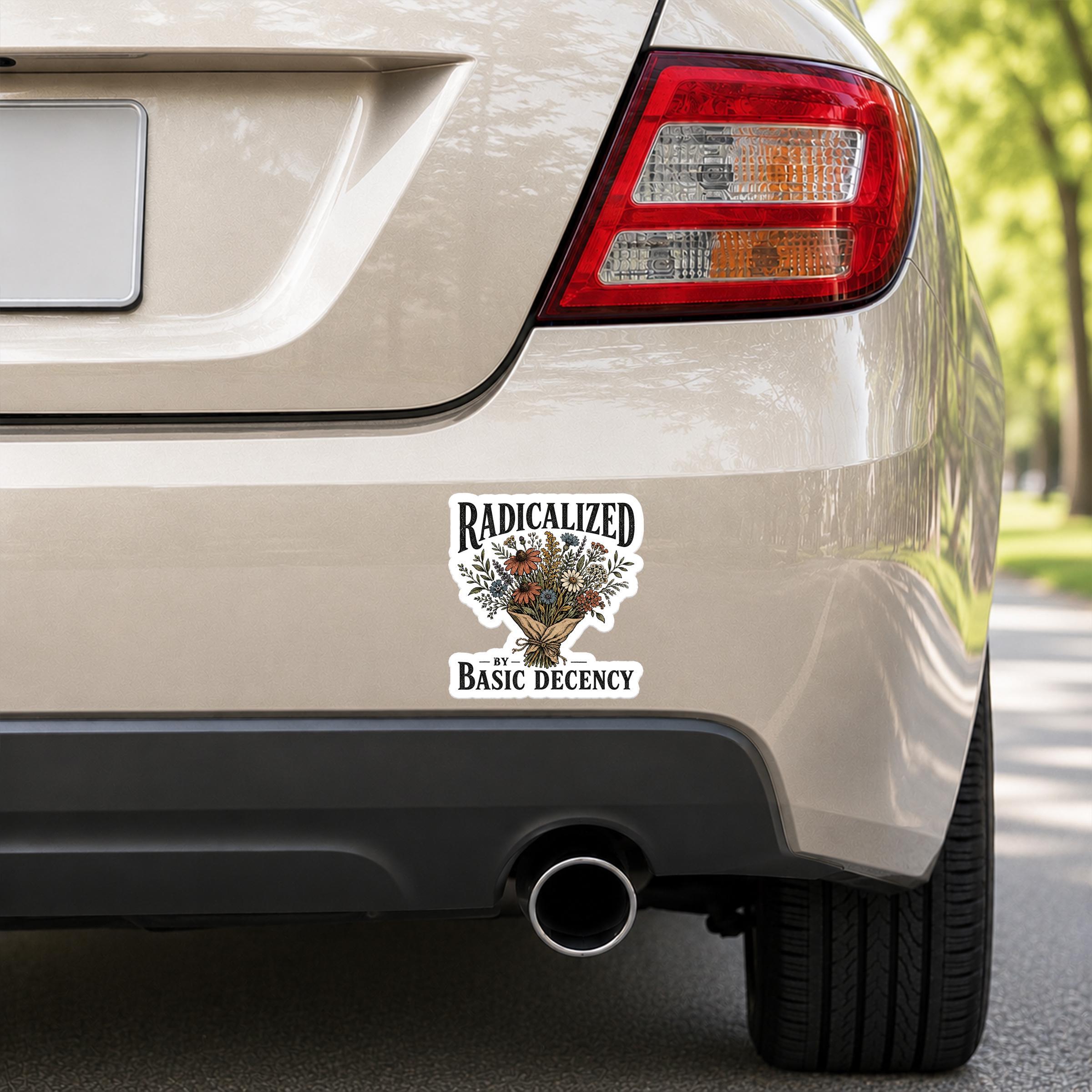 Radicalized by Basic Decency Decal