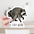 Jimothy the Raccoon Stay Weird Decal