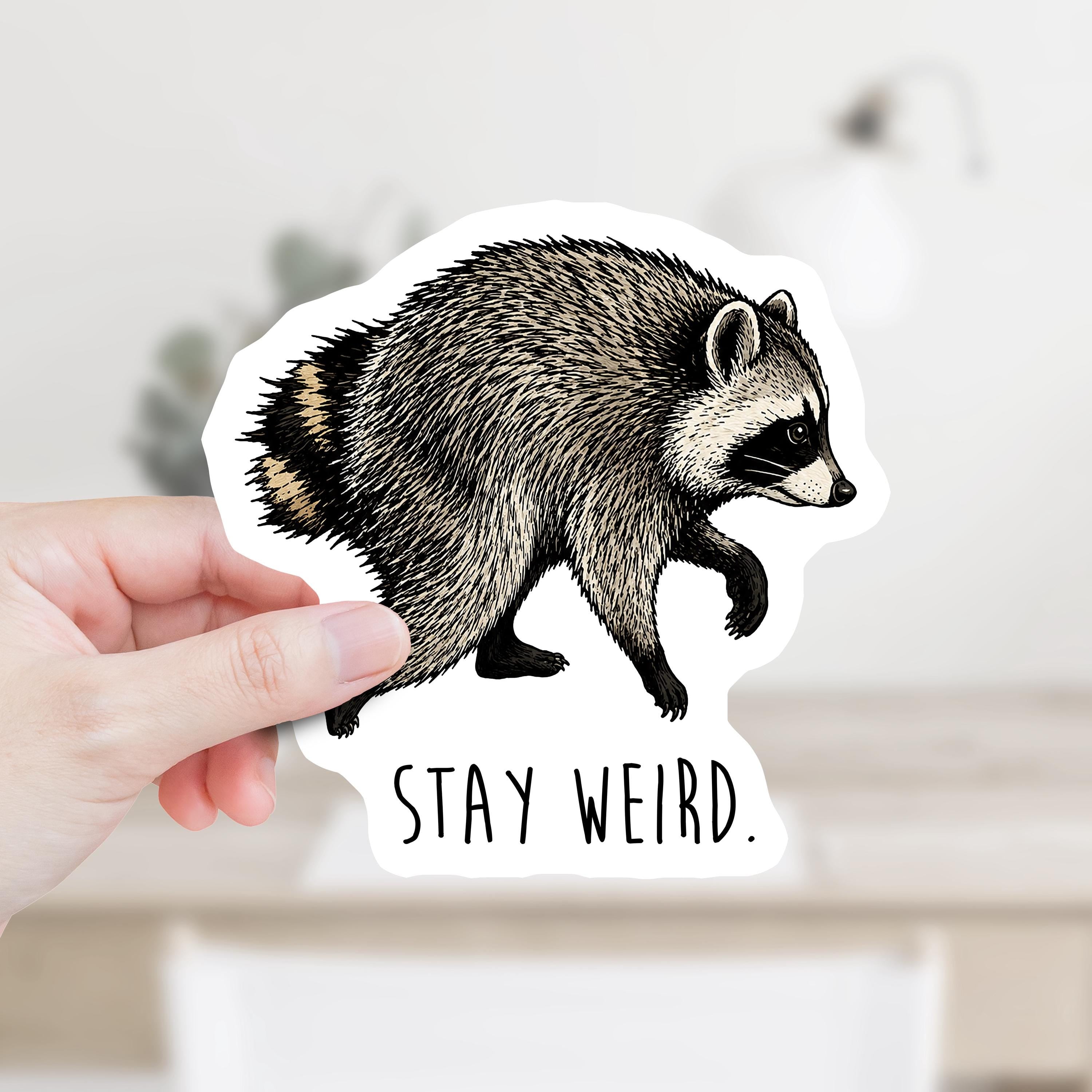 Jimothy the Raccoon Stay Weird Decal