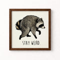 Jimothy the Raccoon Stay Weird Unframed Art Print