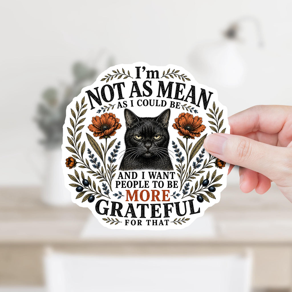 I'm Not As Mean As I Could Be Decal